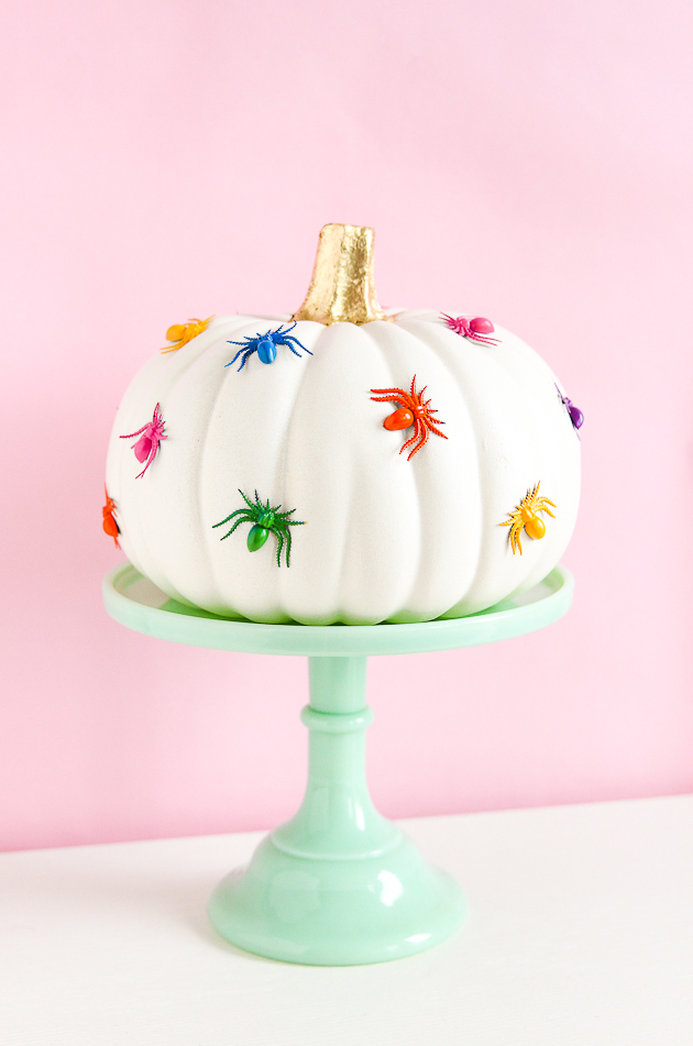 rainbow colored spiders glued on pumpkin