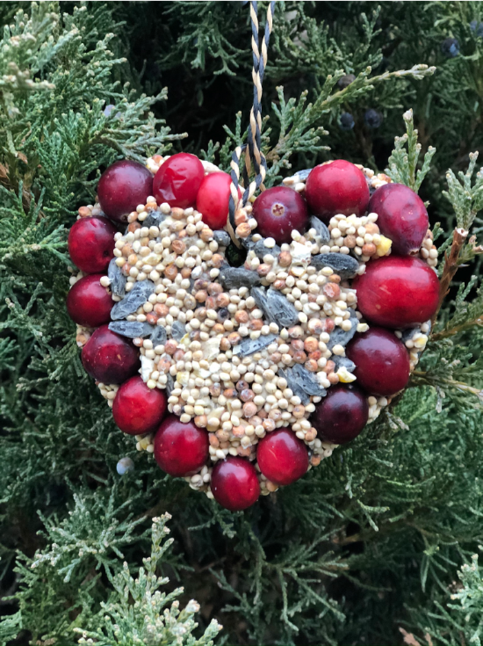 Birdseed ornament with cranberry decoration