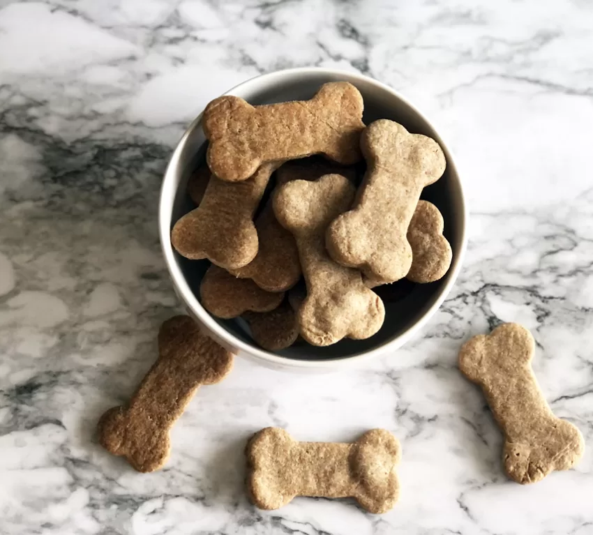 homemade dog treats